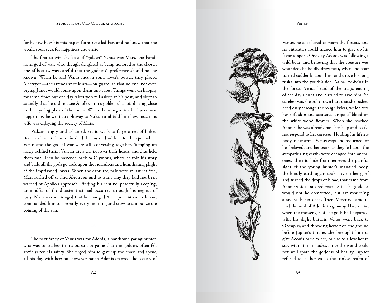 Book spread with rose illustration
